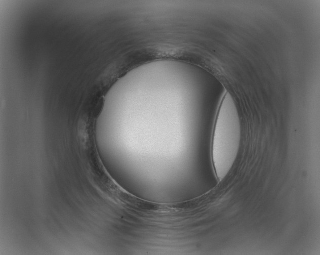 X0000074040215200608211210