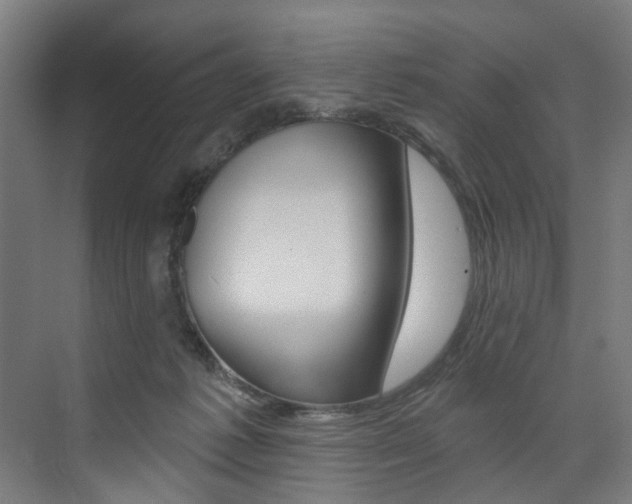 X0000074040221200608211210