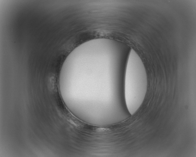 X0000074040222200608211210