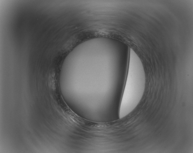 X0000074040223200608211210