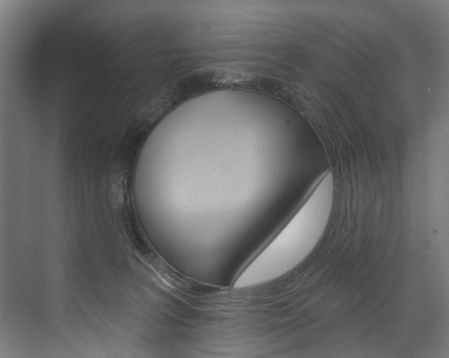 X0000074040227200608211210