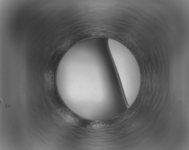X0000074040228200608211210