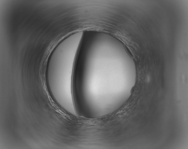 X0000074040241200608211209