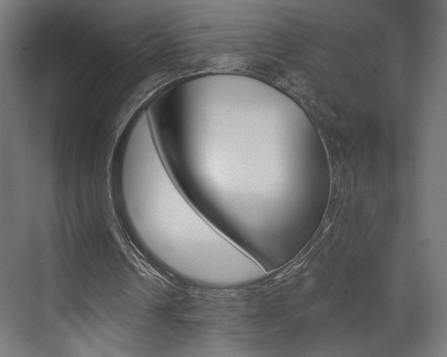 X0000074040242200608211209