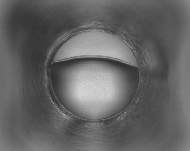 X0000074040245200608211209