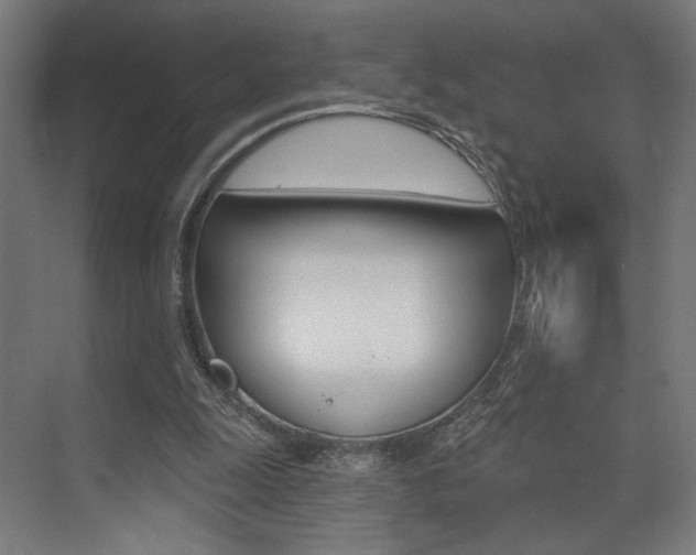 X0000074040247200608211209