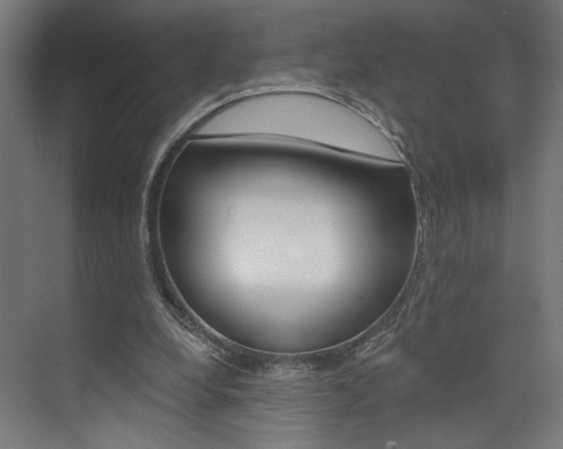 X0000074040248200608211209