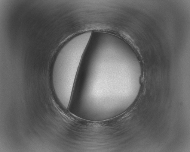 X0000074040249200608211209