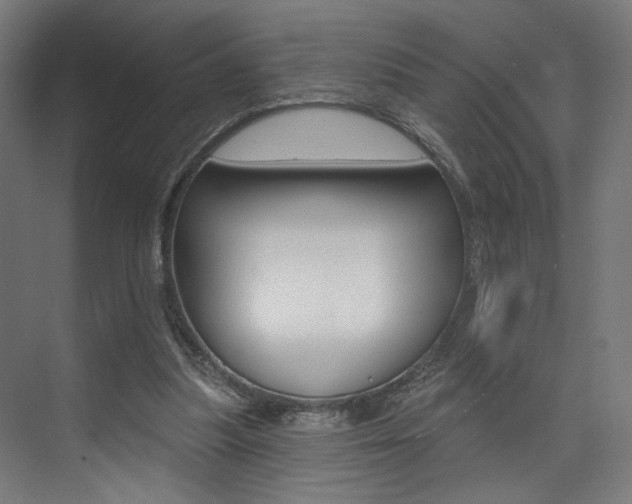 X0000074040251200608211209