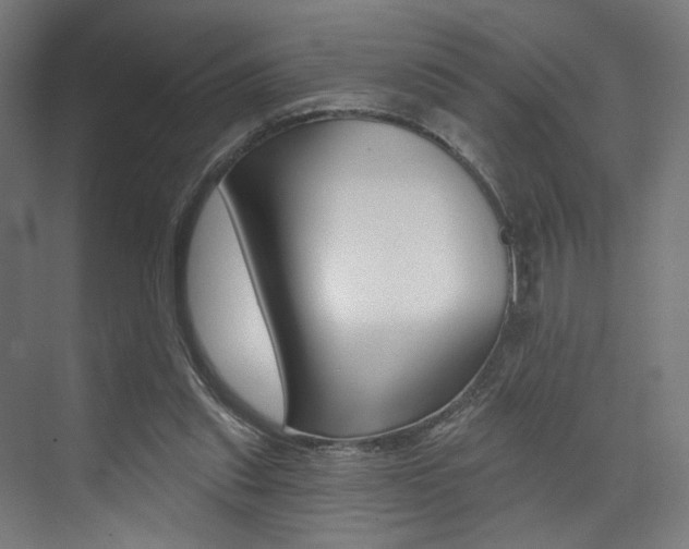 X0000074040253200608211209