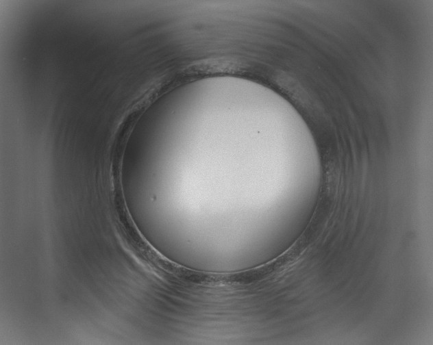 X0000074040254200608211209