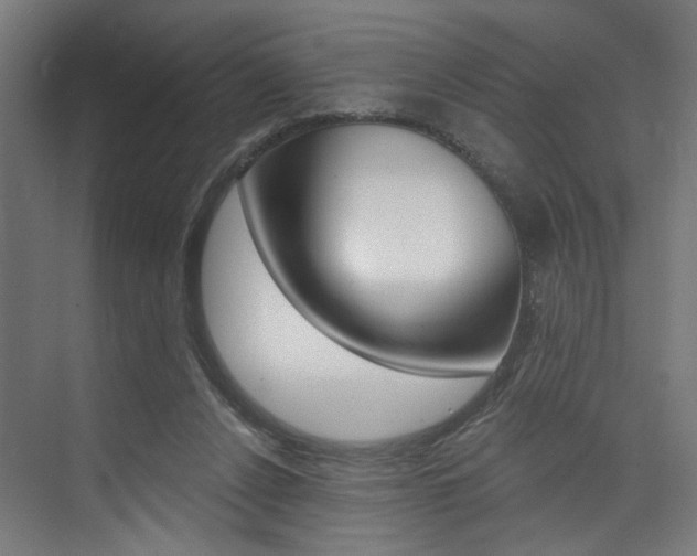 X0000074040256200608211209