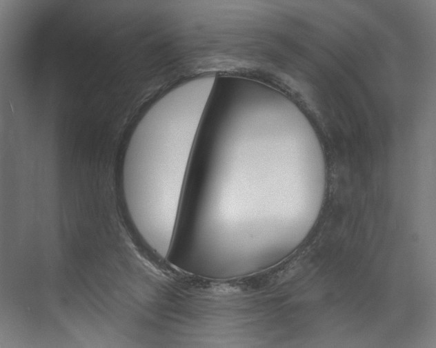X0000074040257200608211210