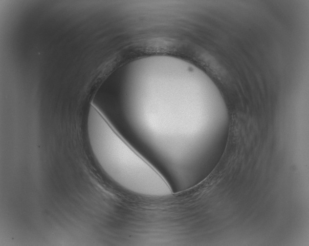 X0000074040258200608211210