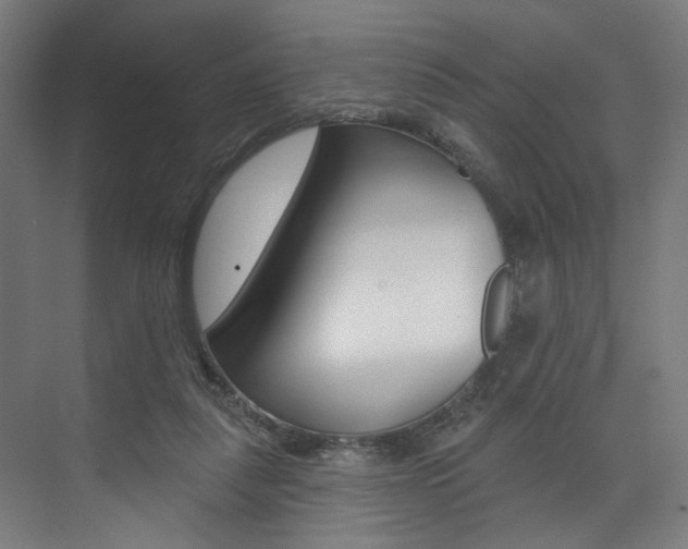 X0000074040259200608211210