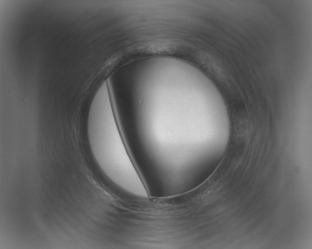 X0000074040260200608211210