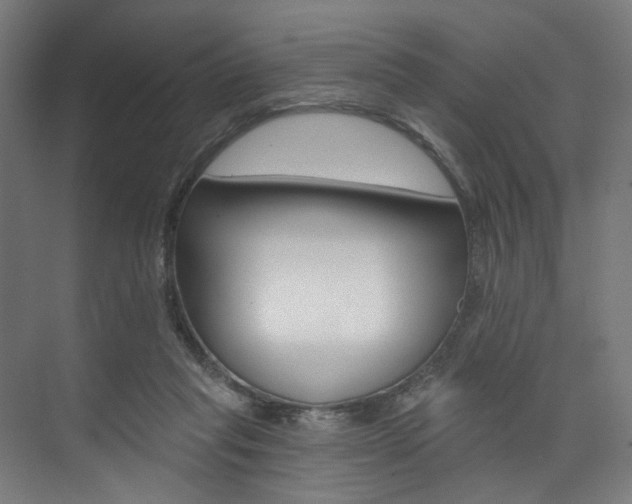 X0000074040261200608211210