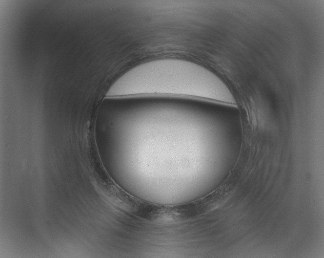 X0000074040263200608211210