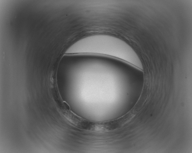 X0000074040264200608211210