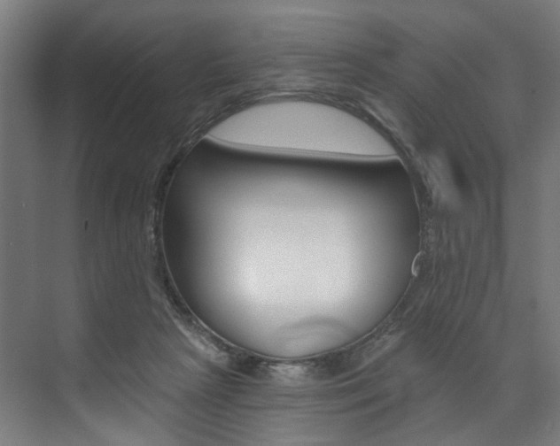 X0000074040265200608211210
