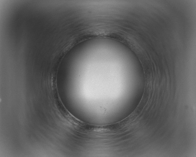 X0000074040268200608211210