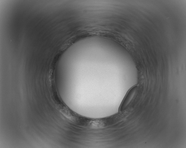 X0000074040275200608211210