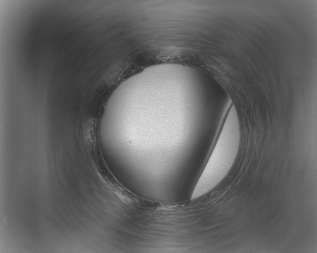 X0000074040280200608211210