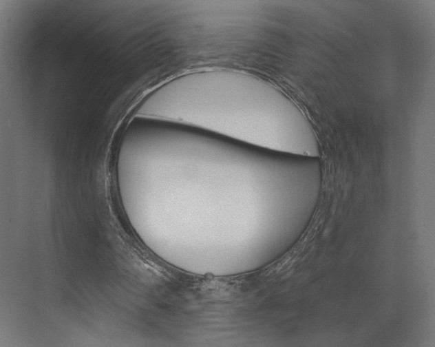 X0000074040290200608211209
