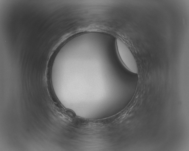 X0000074040292200608211209