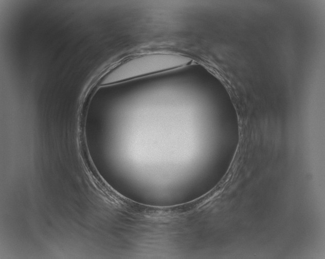 X0000074040293200608211209