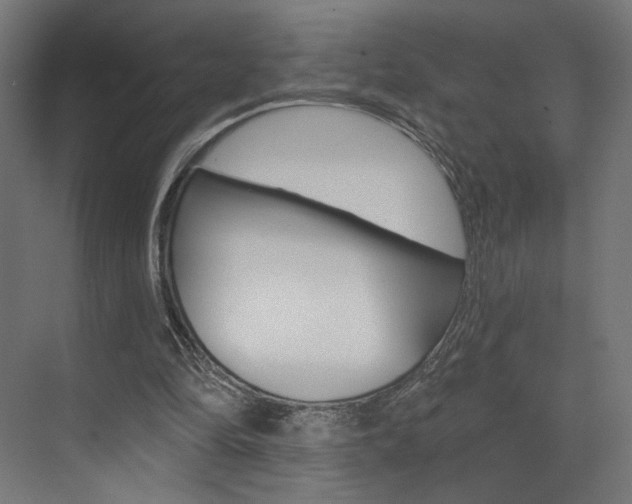 X0000074040294200608211209