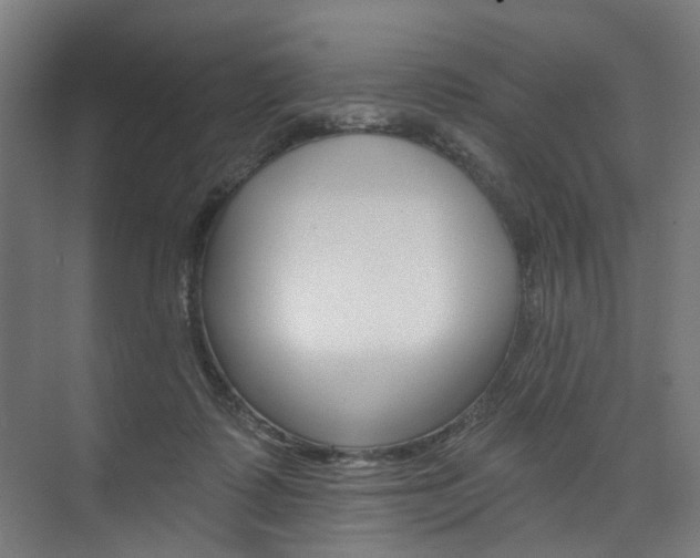 X0000074040315200608211209