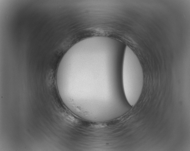 X0000074040318200608211209