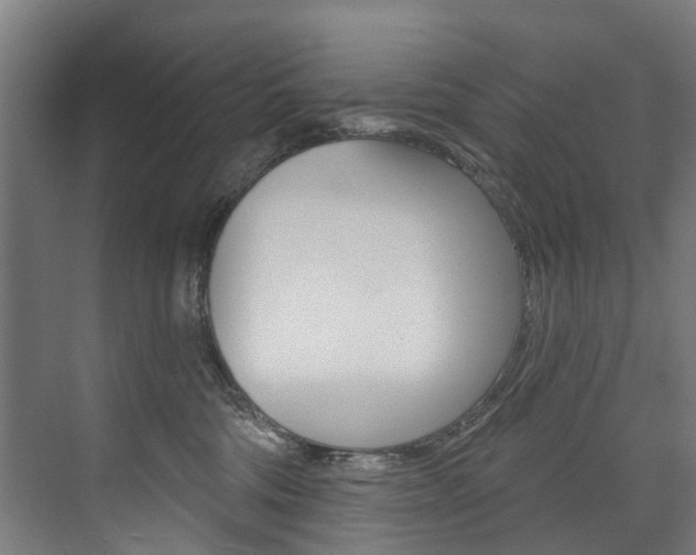 X0000074040330200608211209