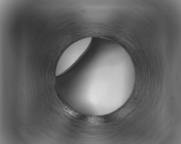 X0000074040336200608211208