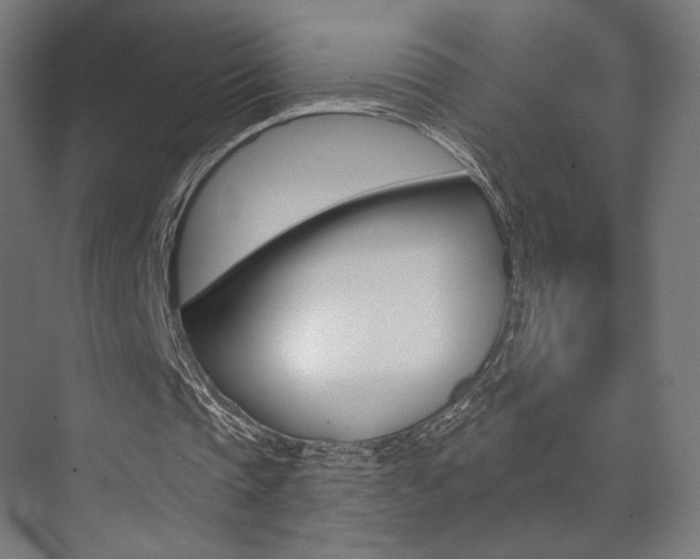 X0000074040337200608211208