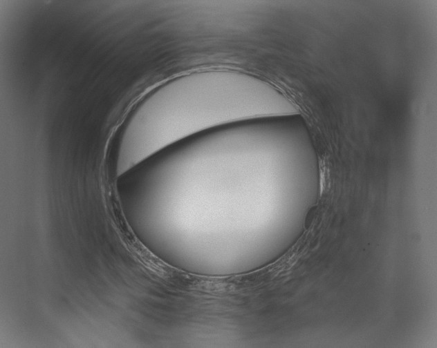 X0000074040339200608211208