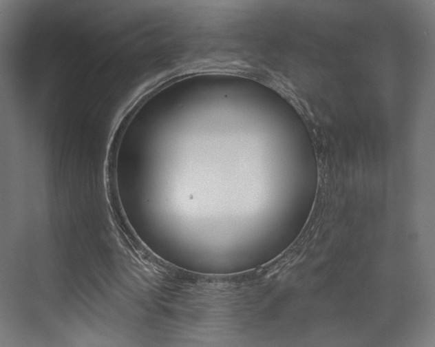 X0000074040340200608211208