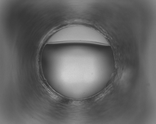 X0000074040341200608211208