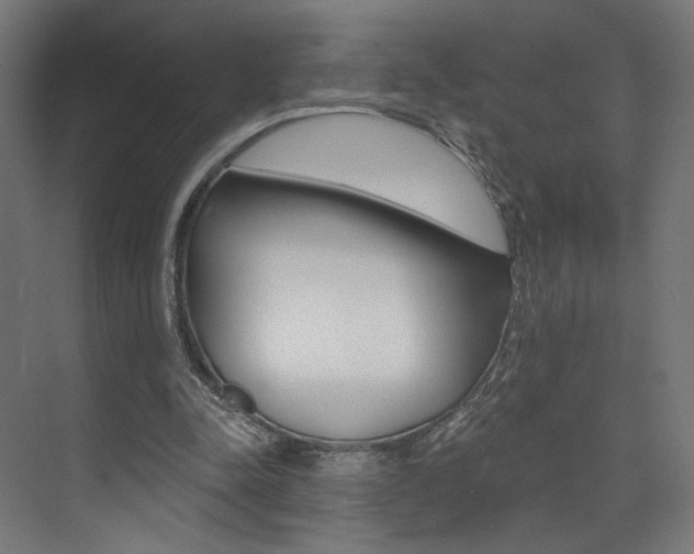X0000074040342200608211208