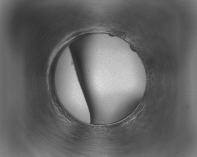 X0000074040343200608211208