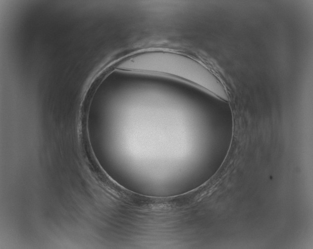 X0000074040344200608211208