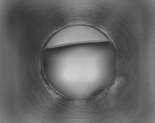 X0000074040345200608211208