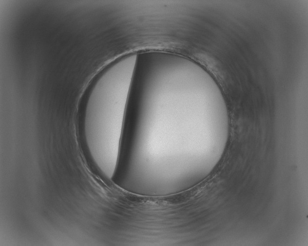 X0000074040346200608211208