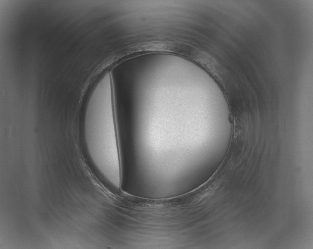 X0000074040349200608211208