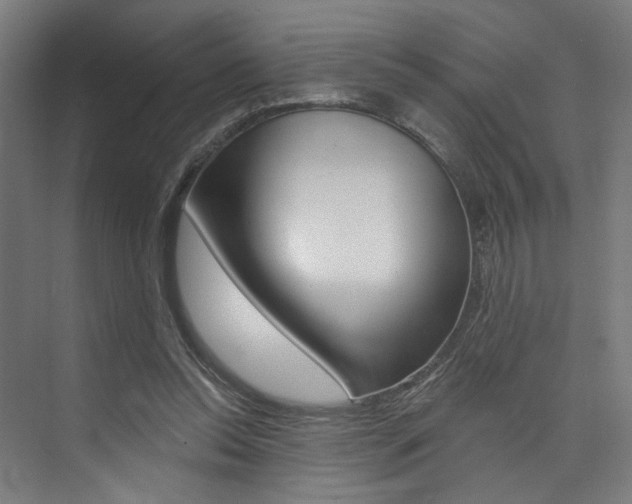 X0000074040350200608211208