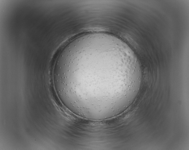 X0000074040351200608211208