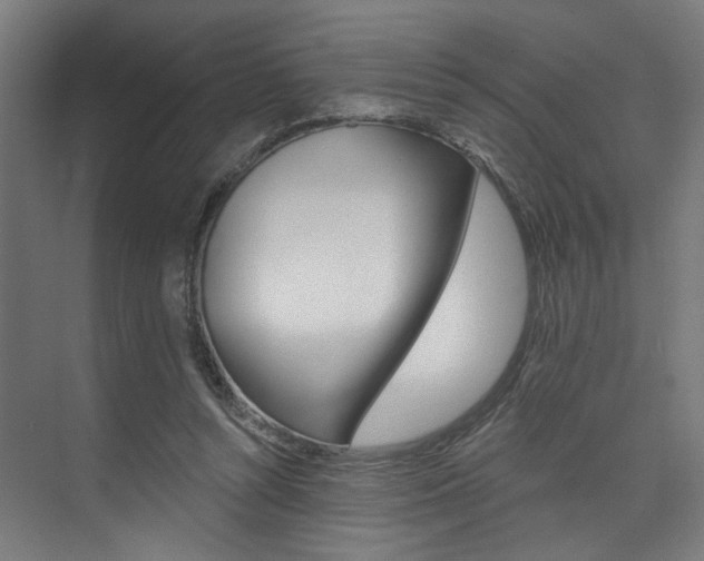 X0000074040352200608211208