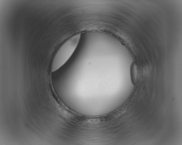X0000074040353200608211208