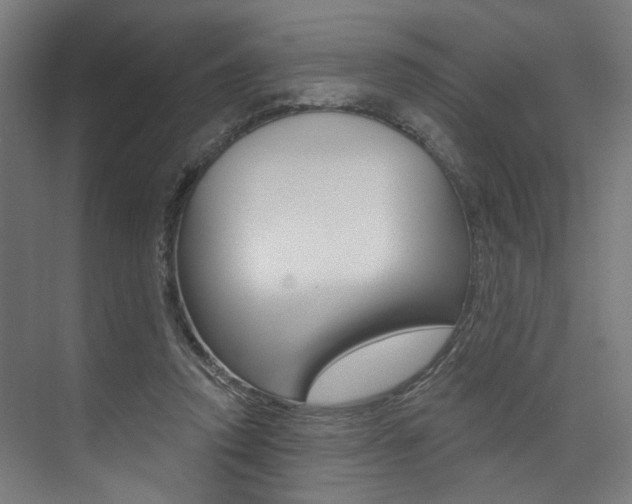 X0000074040354200608211208